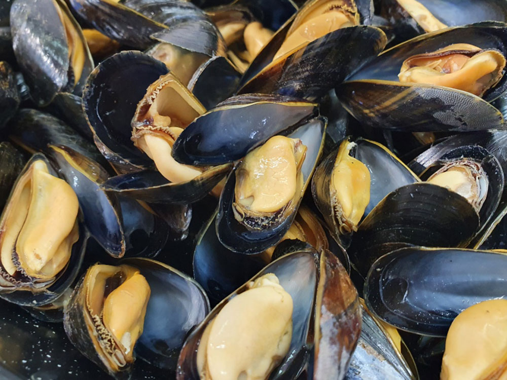 Moules de Bouchot (Prix au Litre)