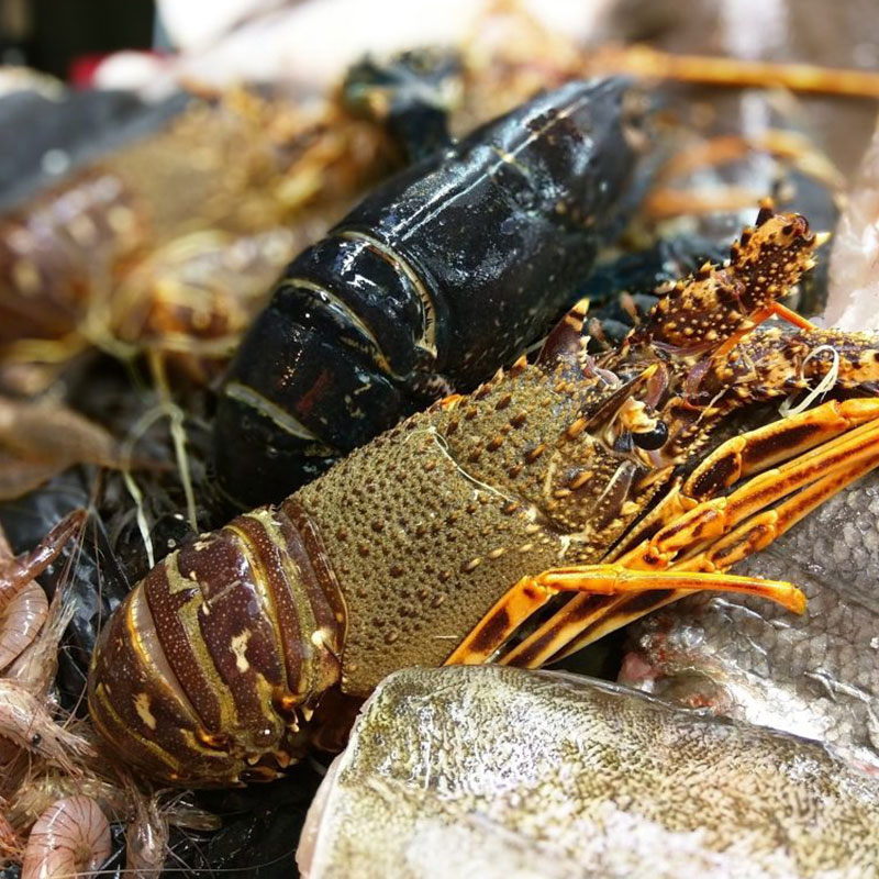 Homard et Langouste bretonne