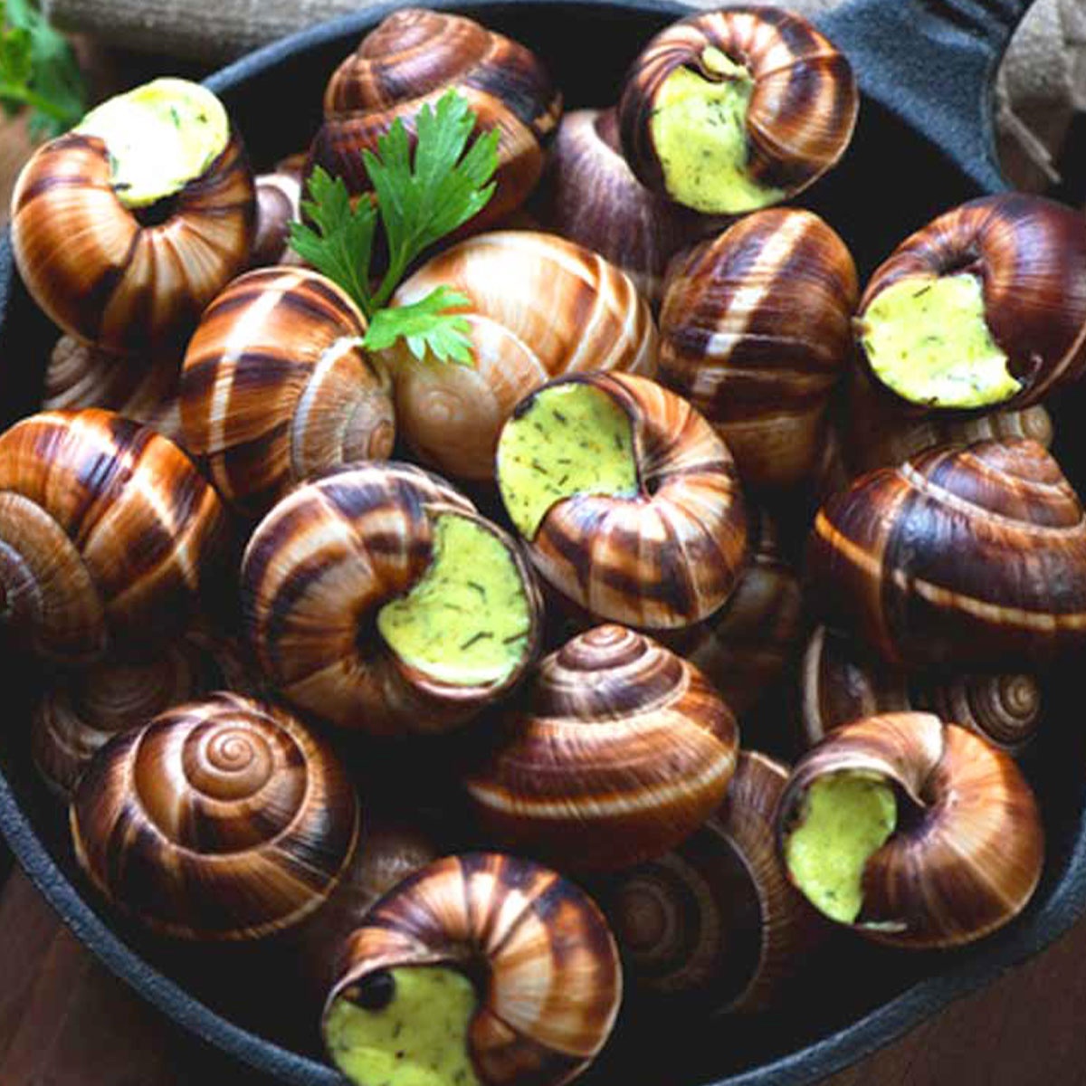 Escargots de Bourgogne très gros GRANDJEAN