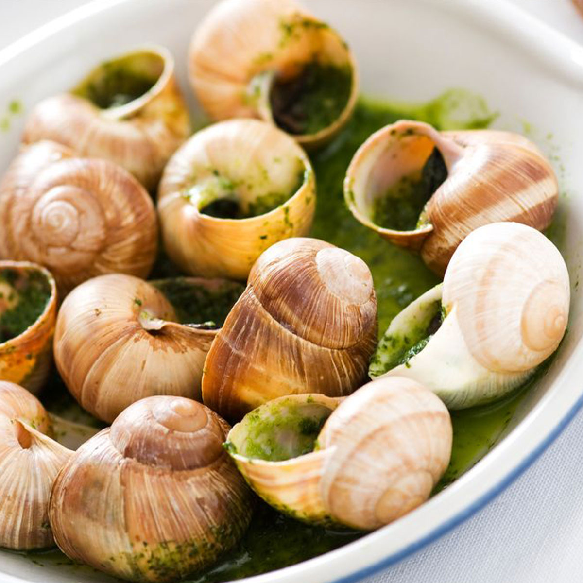 Escargots de Bourgogne très gros GRANDJEAN