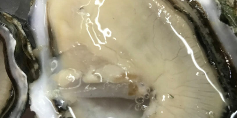 Numero-5-petite-taille-11Eles-6