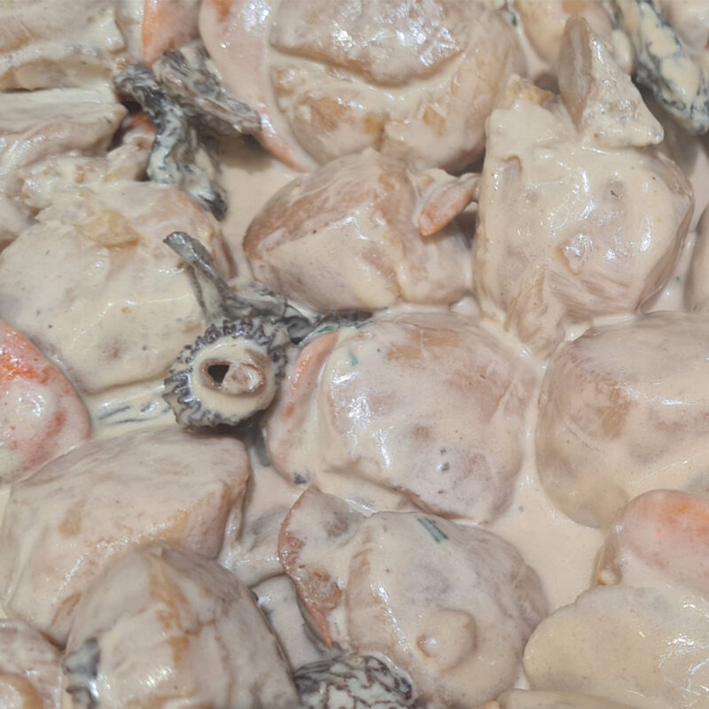 Noix-saint-Jacques-aux-morilles